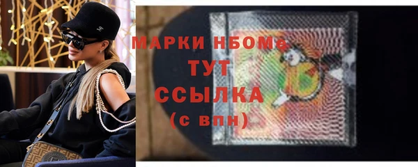 прущие грибы Вяземский